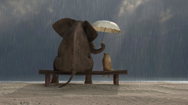 3 thái độ sống giúp cuộc đời sang trang, phú quý không tìm mà đến - Ảnh 1. 3 thái độ sống giúp cuộc đời sang trang, phú quý không tìm mà đến - Ảnh 1.