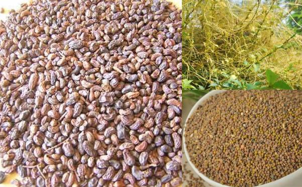 photo-1639584336935 photo-1639584336935